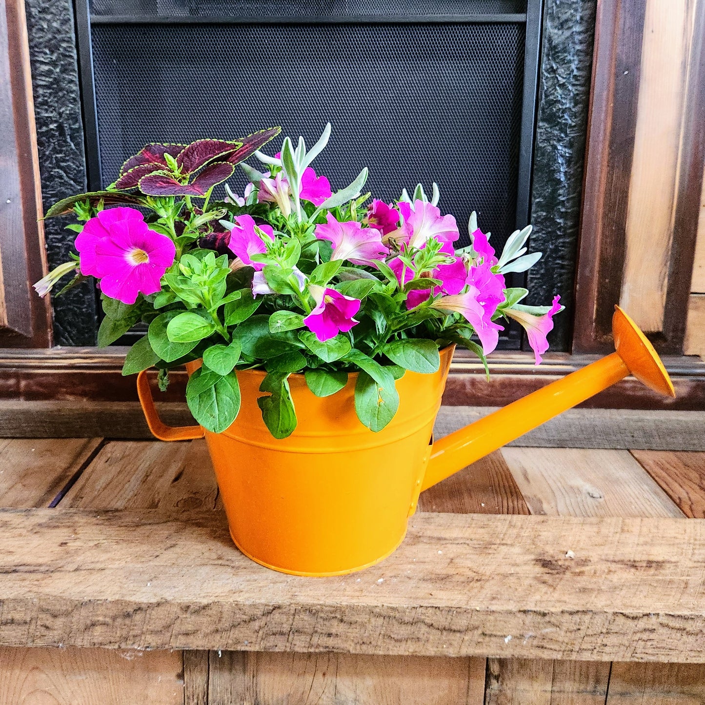 Colorful Watering Can Planter