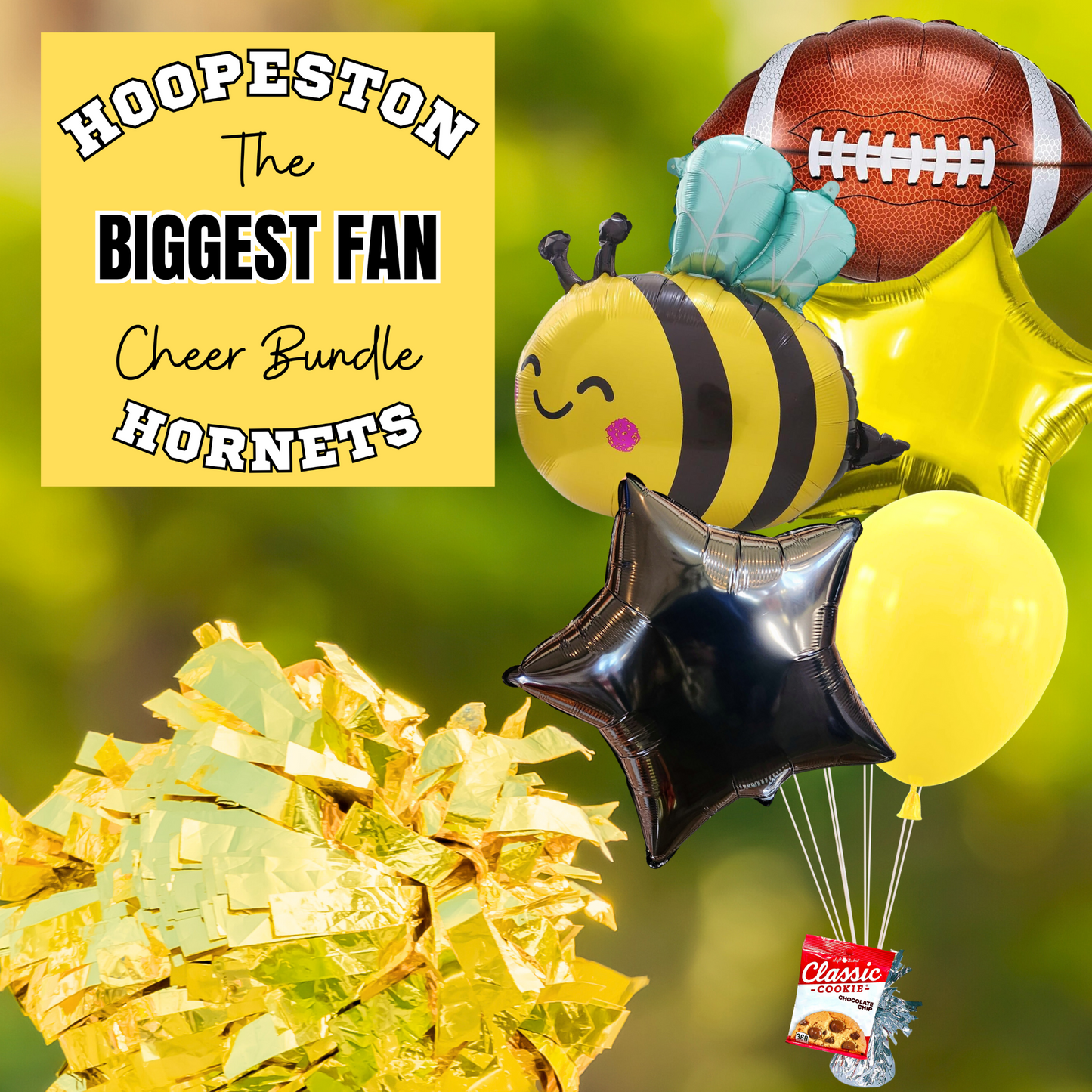 Hoopeston Hornets Cheer