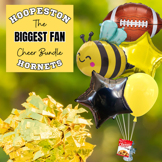 Hoopeston Hornets Cheer