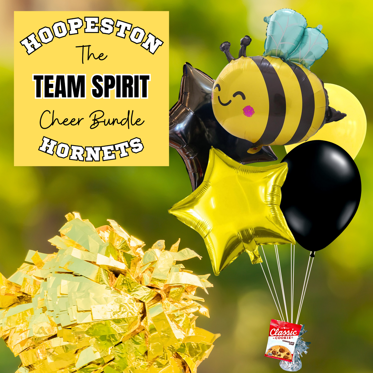 Hoopeston Hornets Cheer