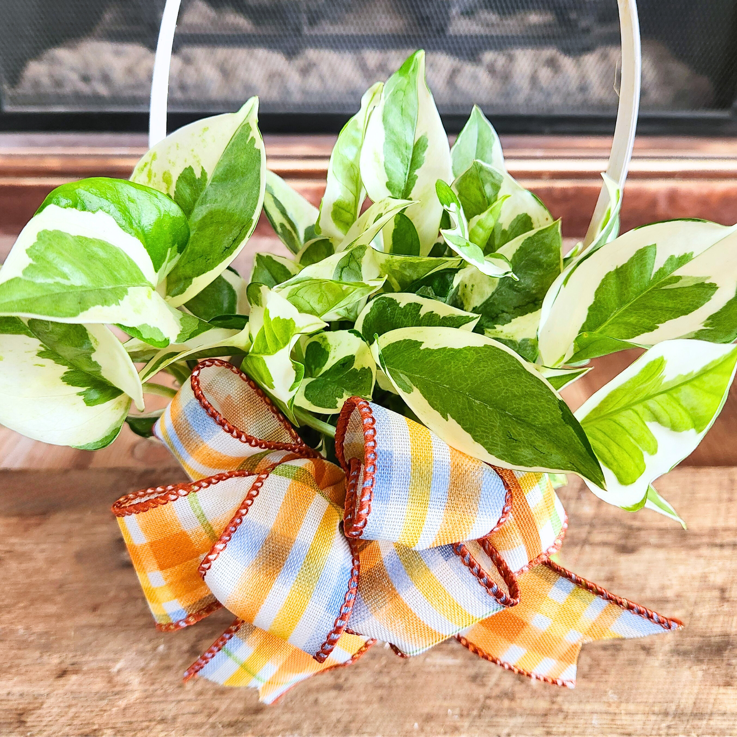 Joyful Pothos Basket