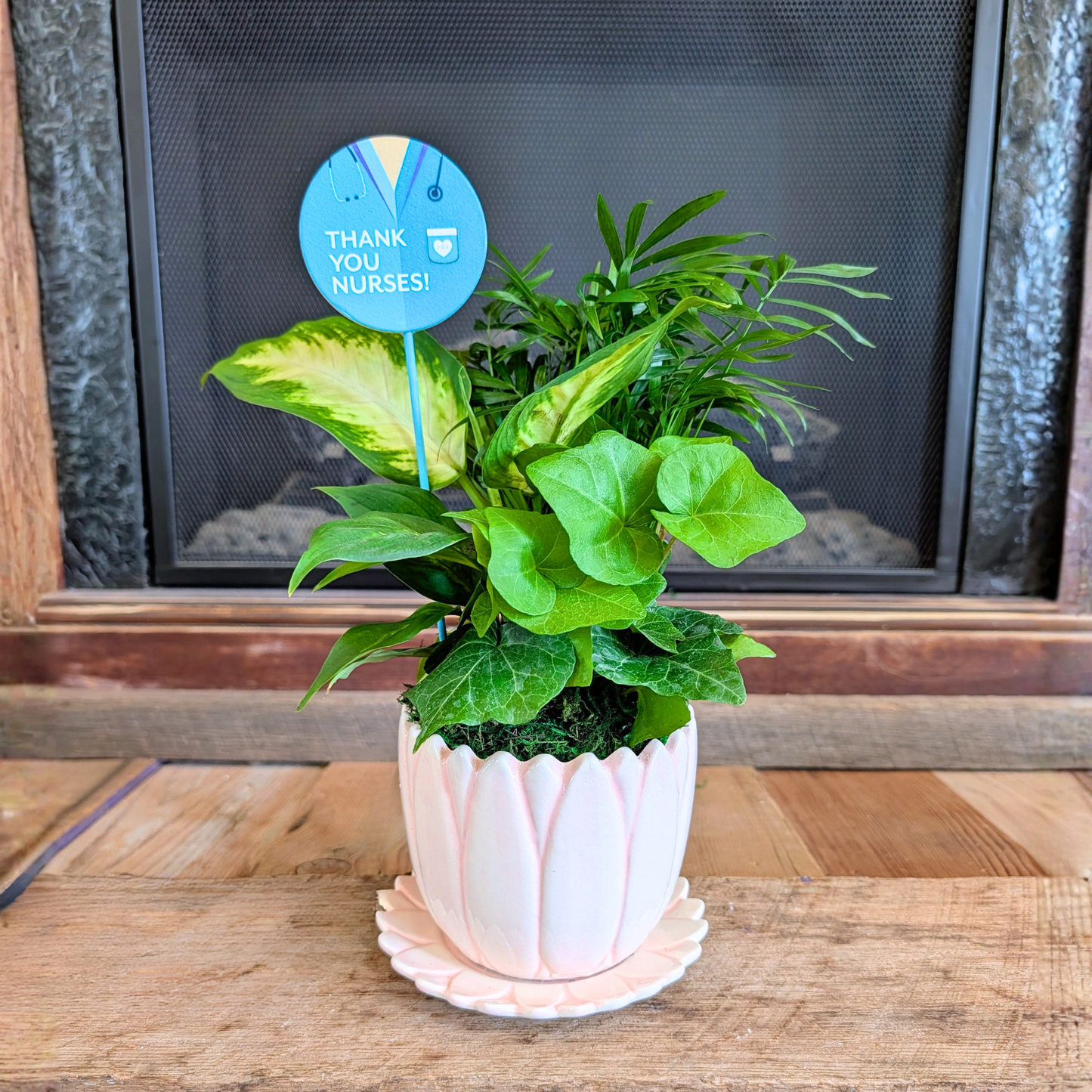 Petal Pot Thank You Plant for Nurses