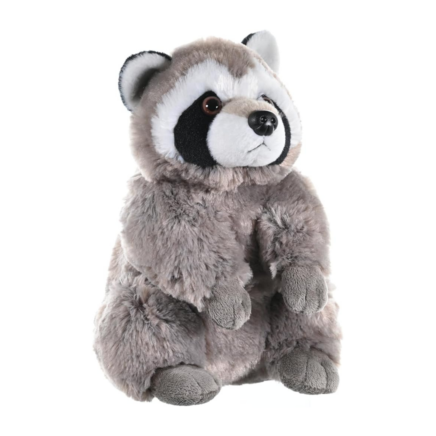Ranger the Raccoon