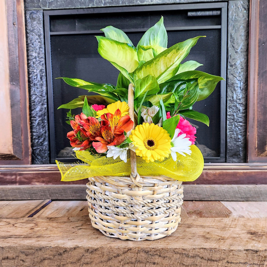 A sympathy basket arrangement featuring a green plant and colorful flowers in a wicker basket, placed on a wooden surface.