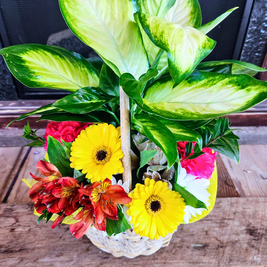 Roots and Remembrance Basket