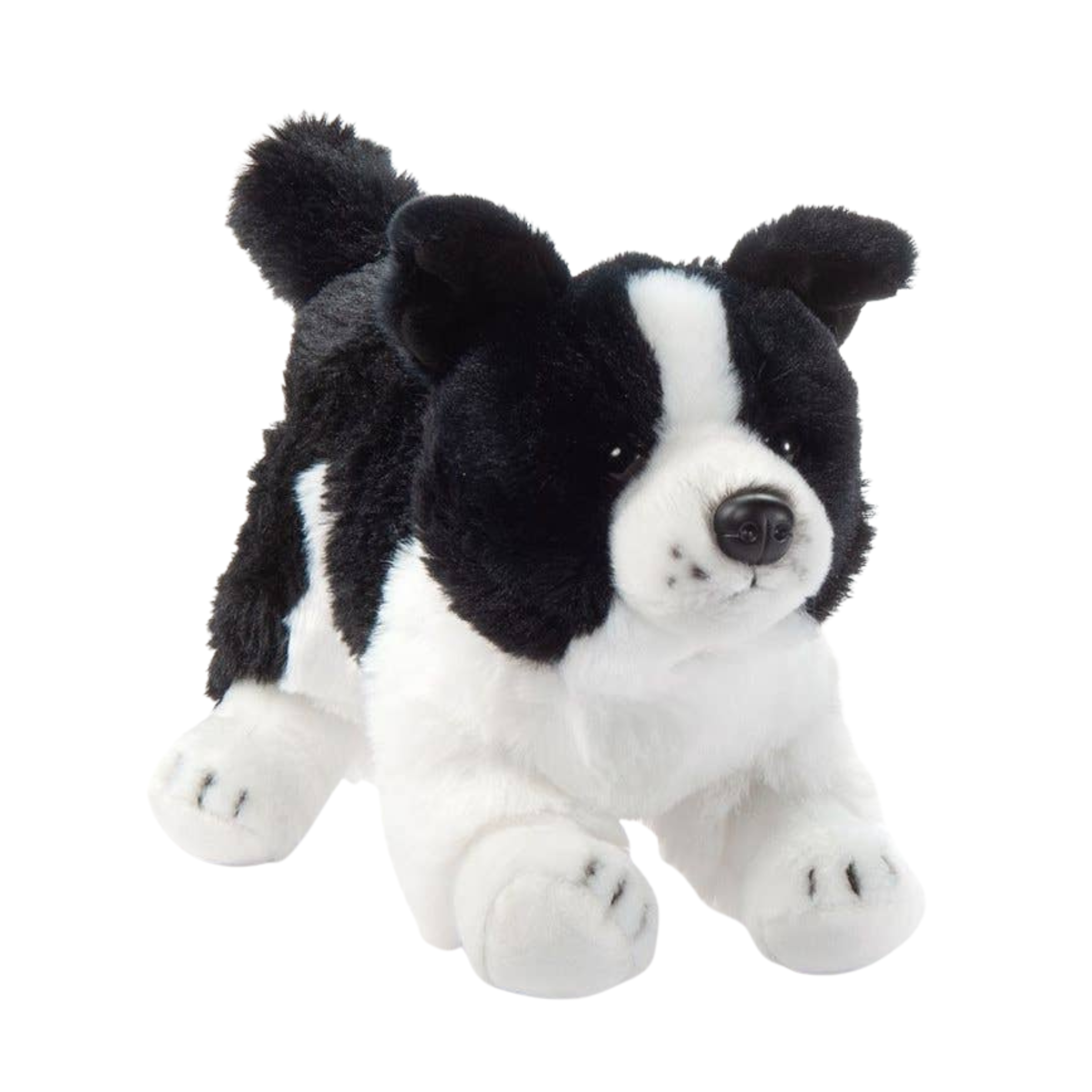 Webkinz border shop collie