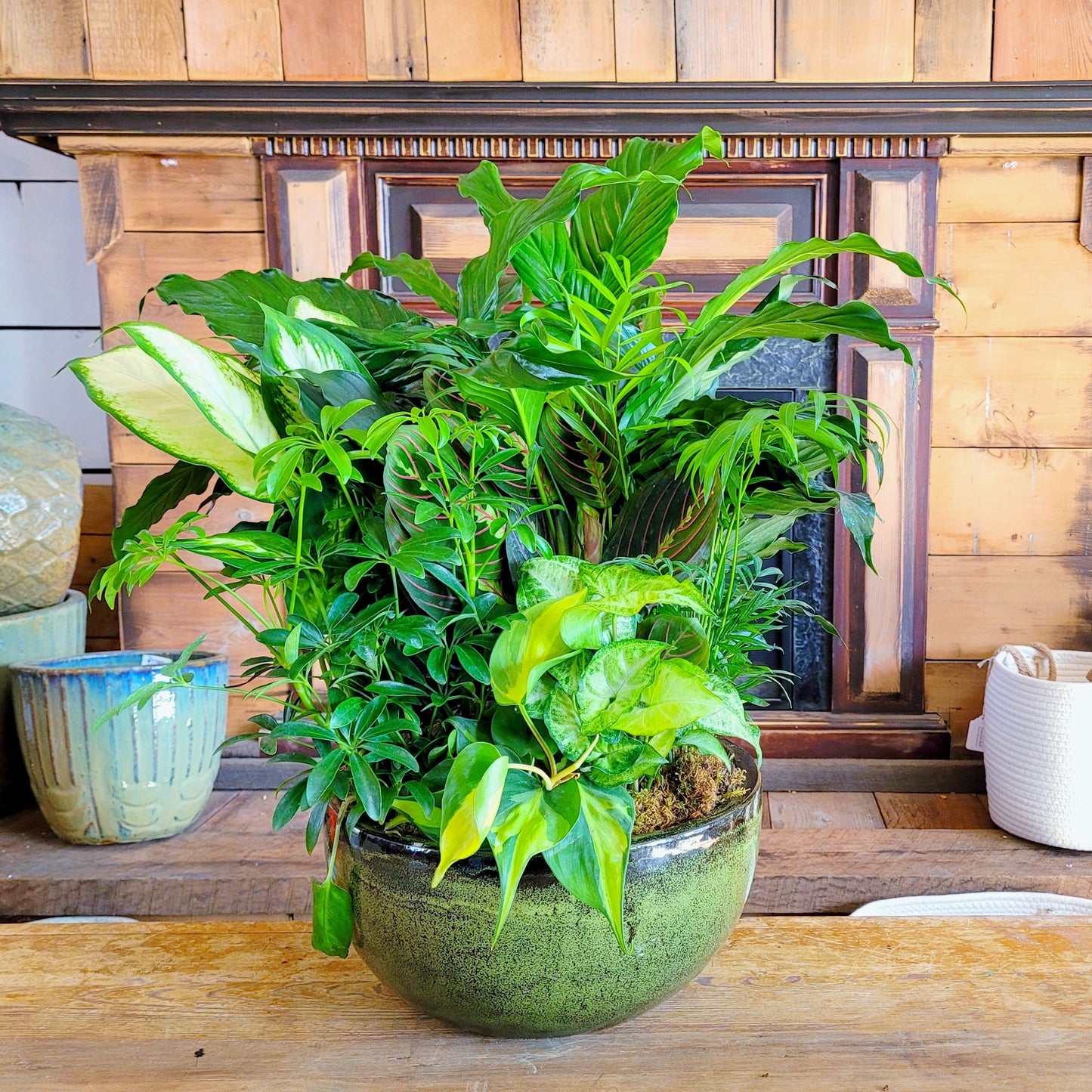 Mixed Planter - Deluxe