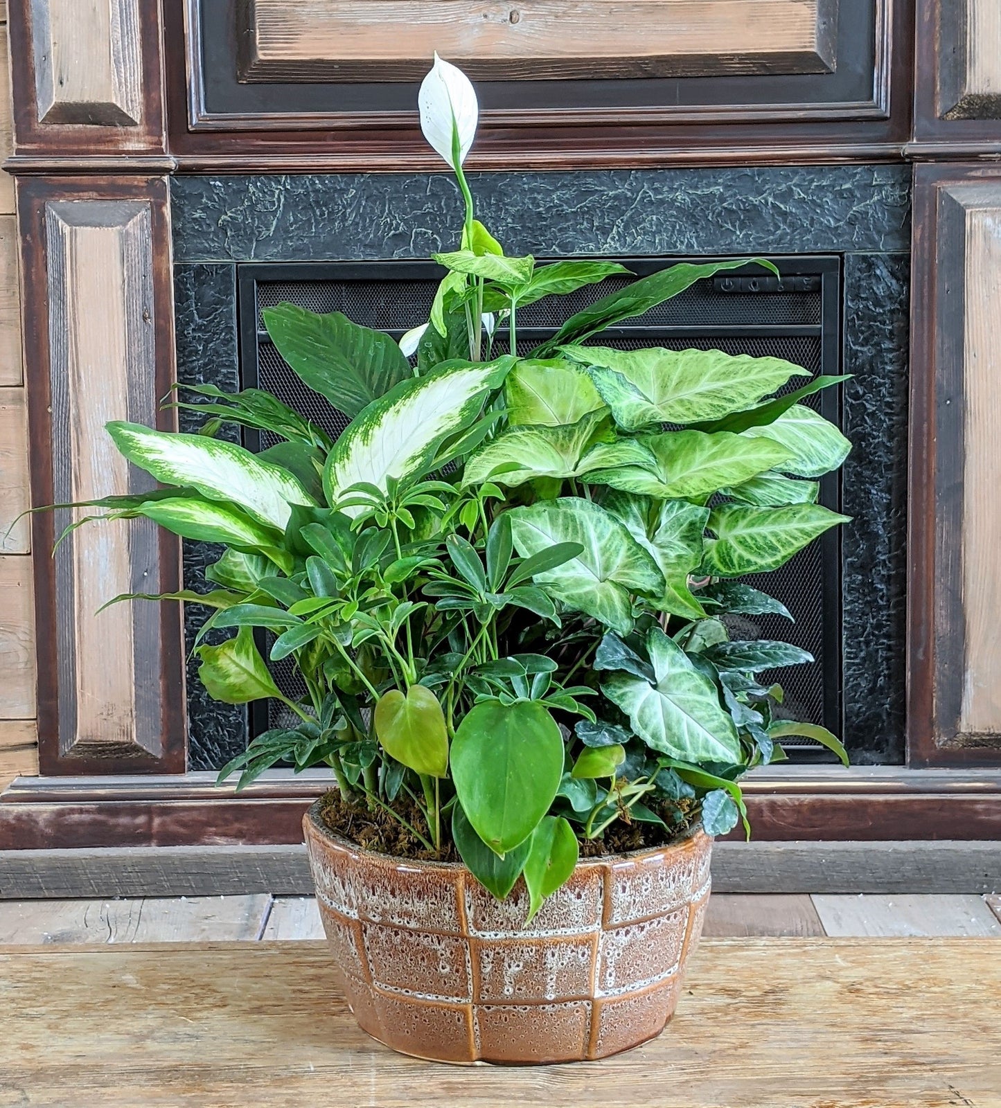 Mixed Planter - Large