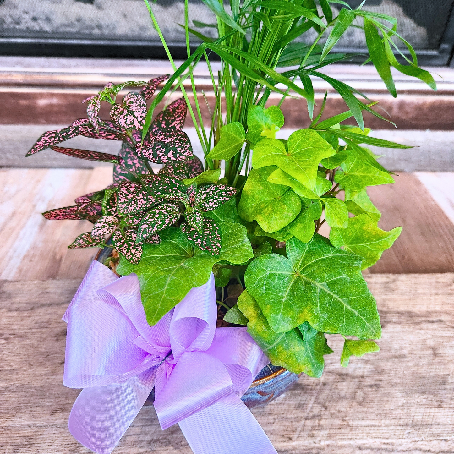 Assorted Petite Dish Garden