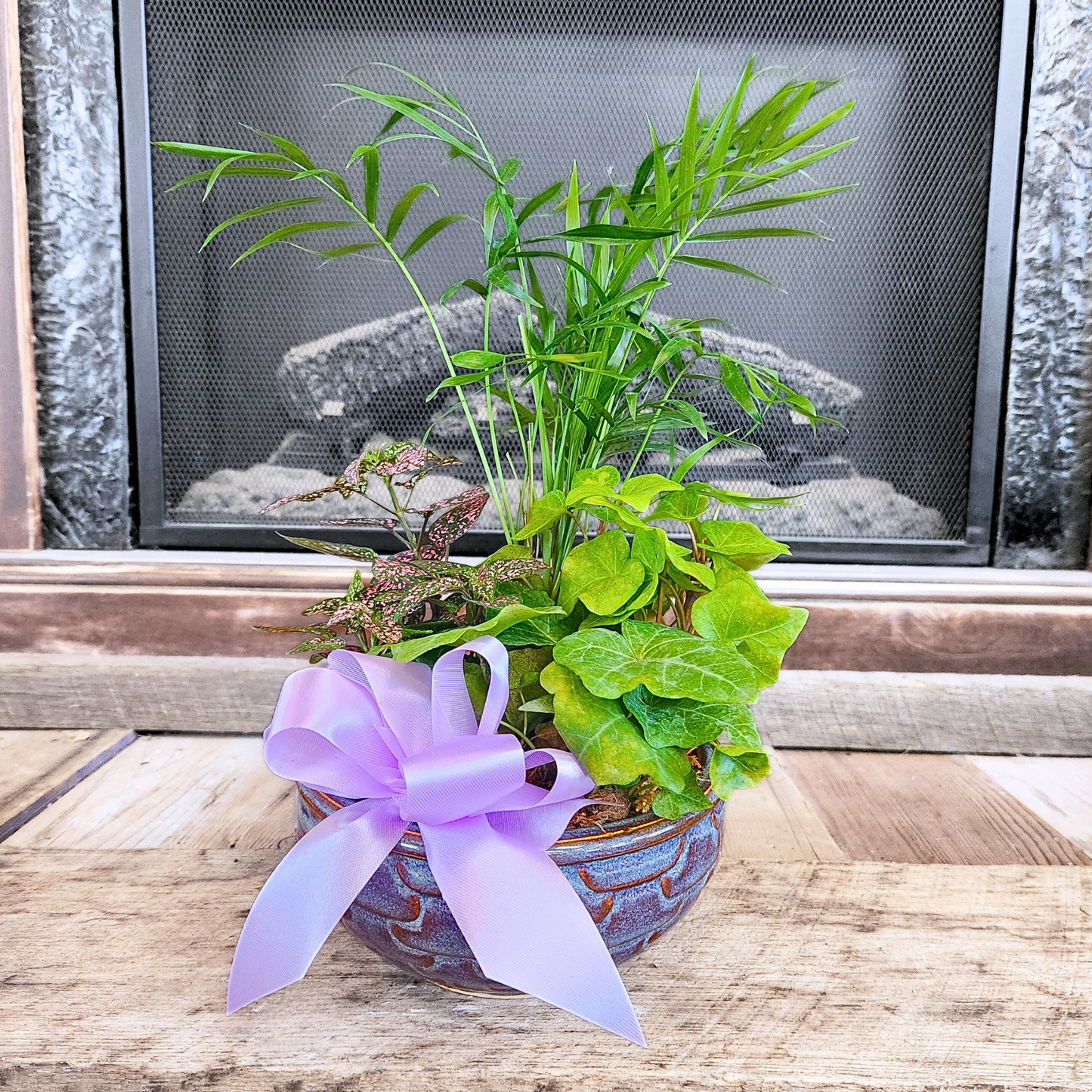 Assorted Petite Dish Garden