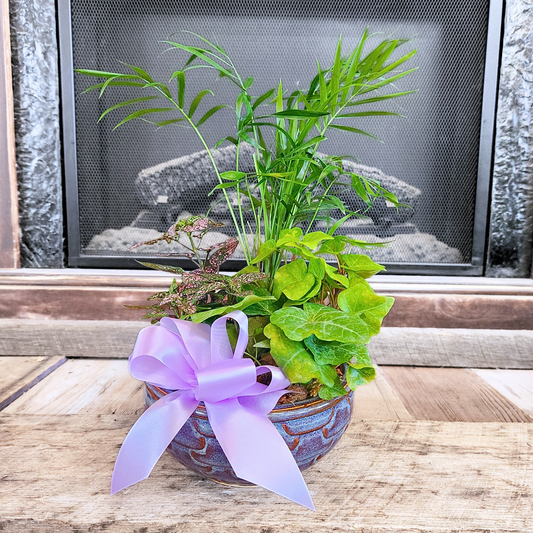 Assorted Petite Dish Garden