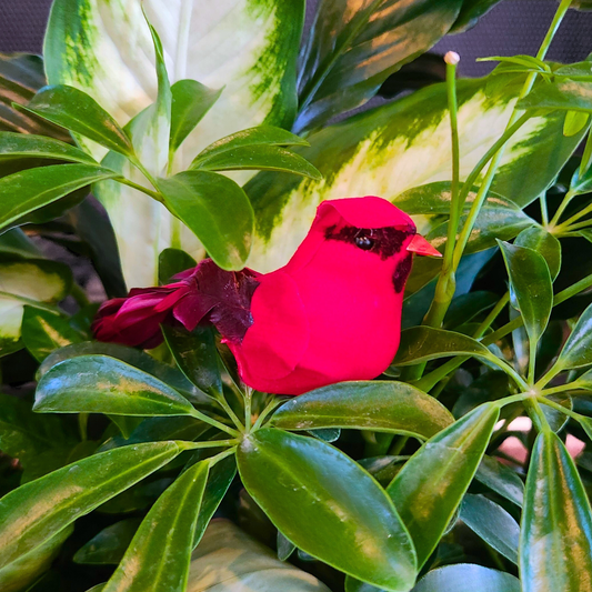 Cardinal Feathered Bird Accent