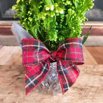 Cardinal & Frosty Fern