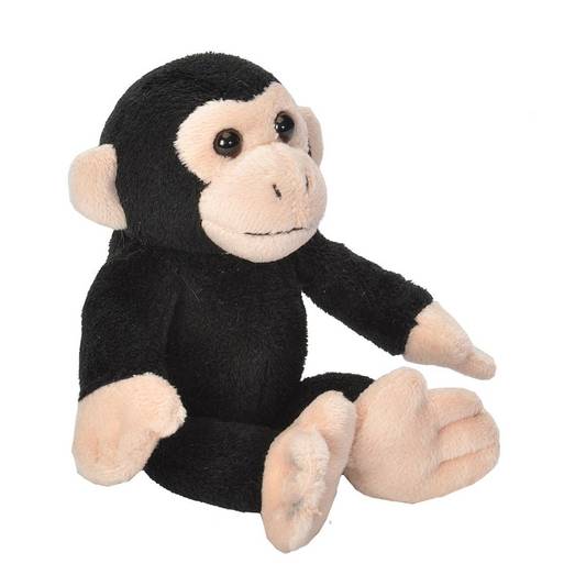 Charlie the Mini Chimpanzee
