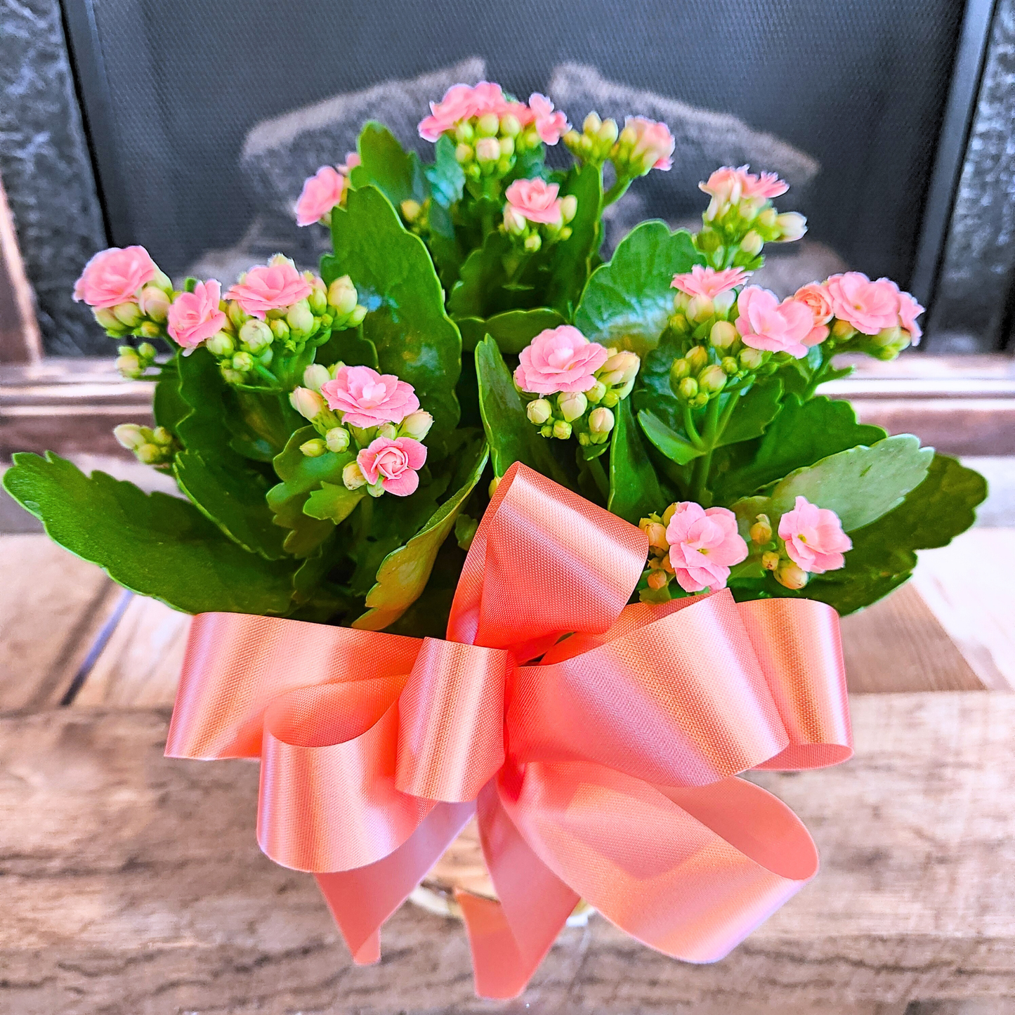 Cheerful Kalanchoe Basket
