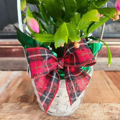 Christmas Cactus Basket
