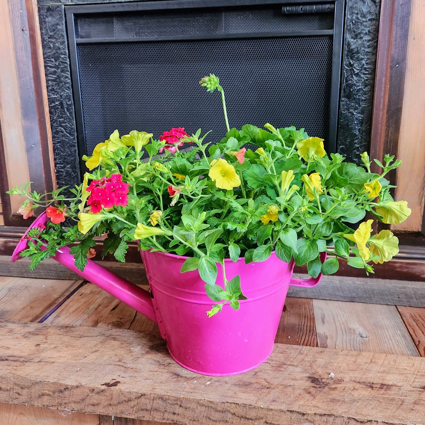 Colorful Watering Can Planter