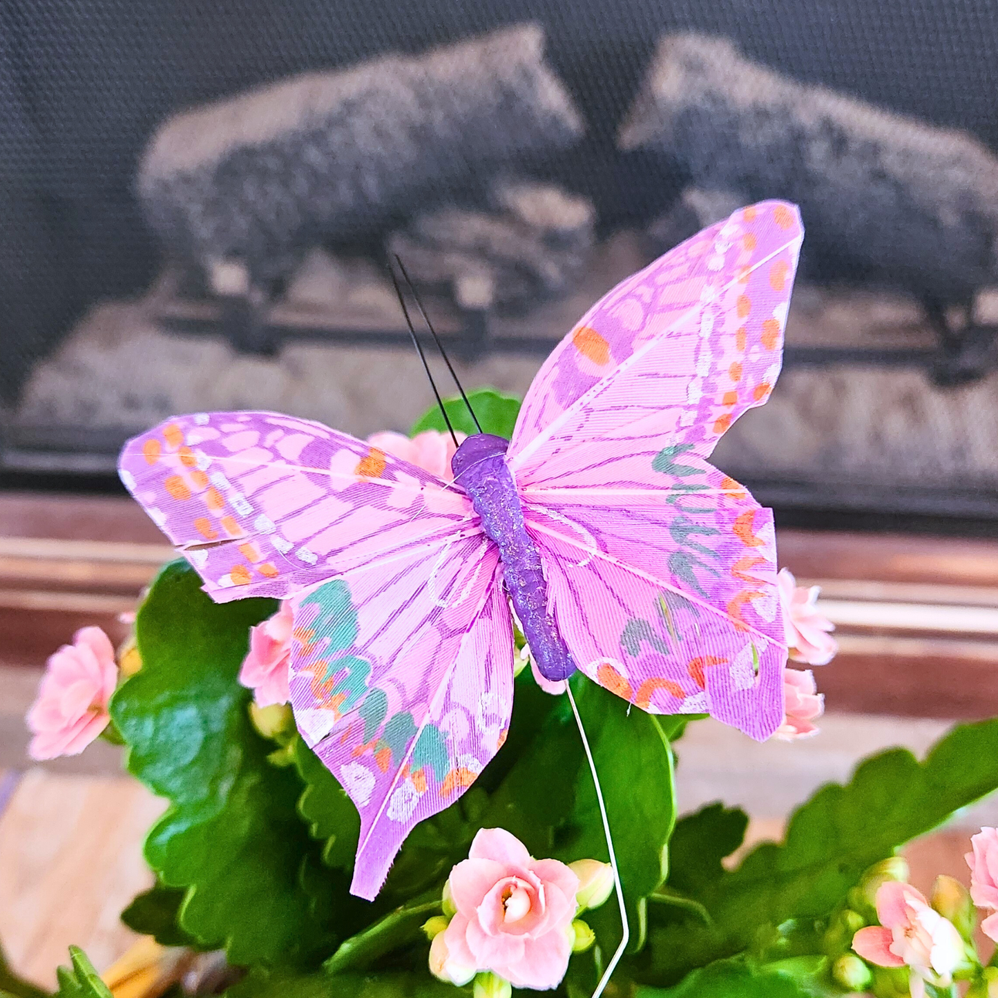 Feathered Butterfly Accent