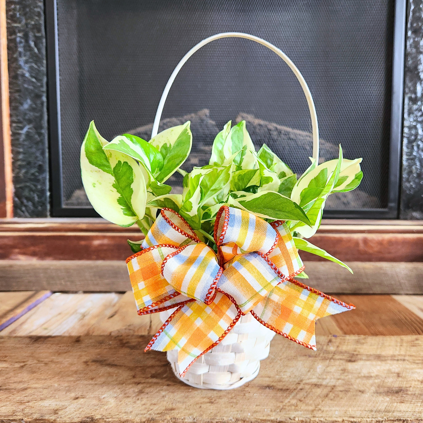 Joyful Pothos Basket