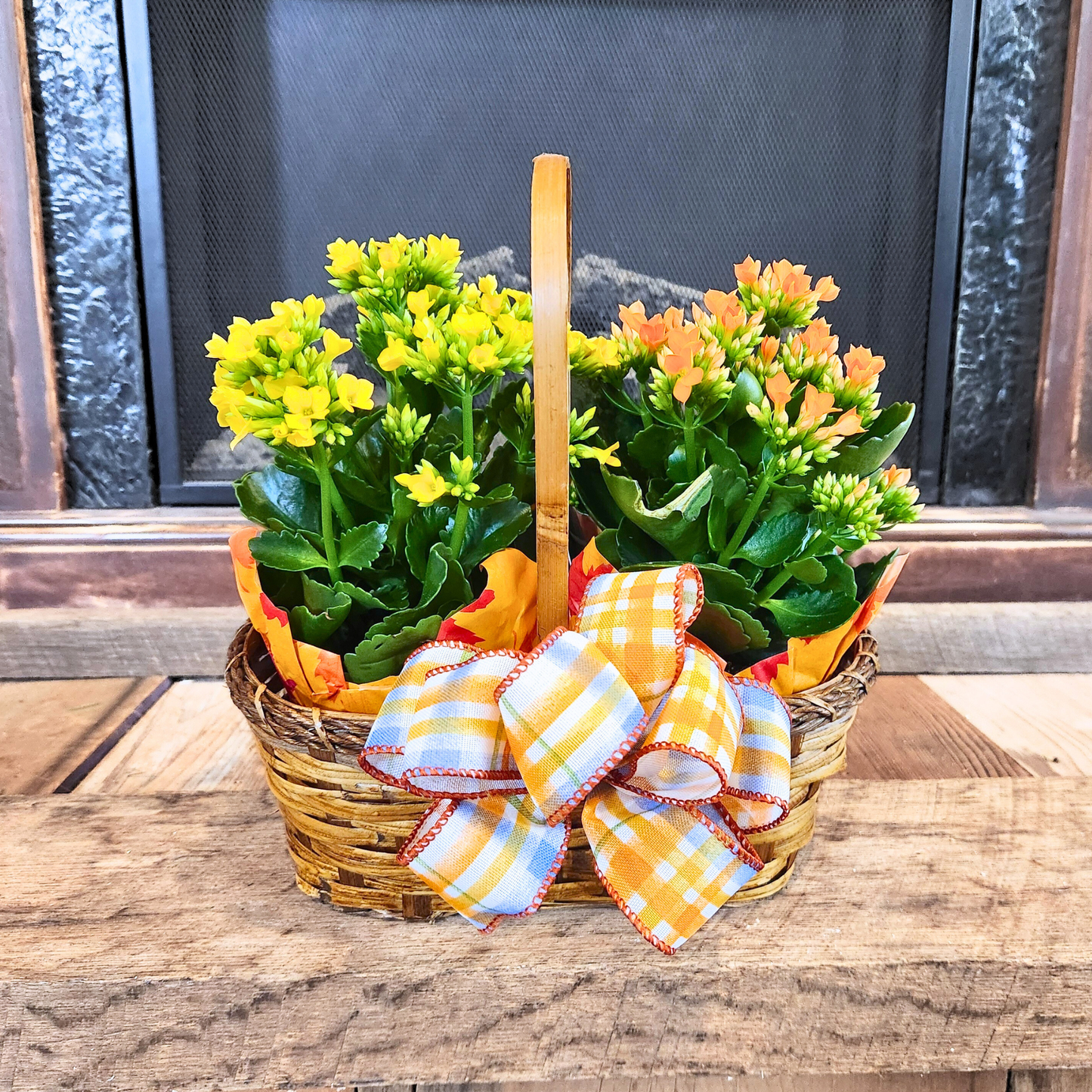 Kalanchoe Garden Basket