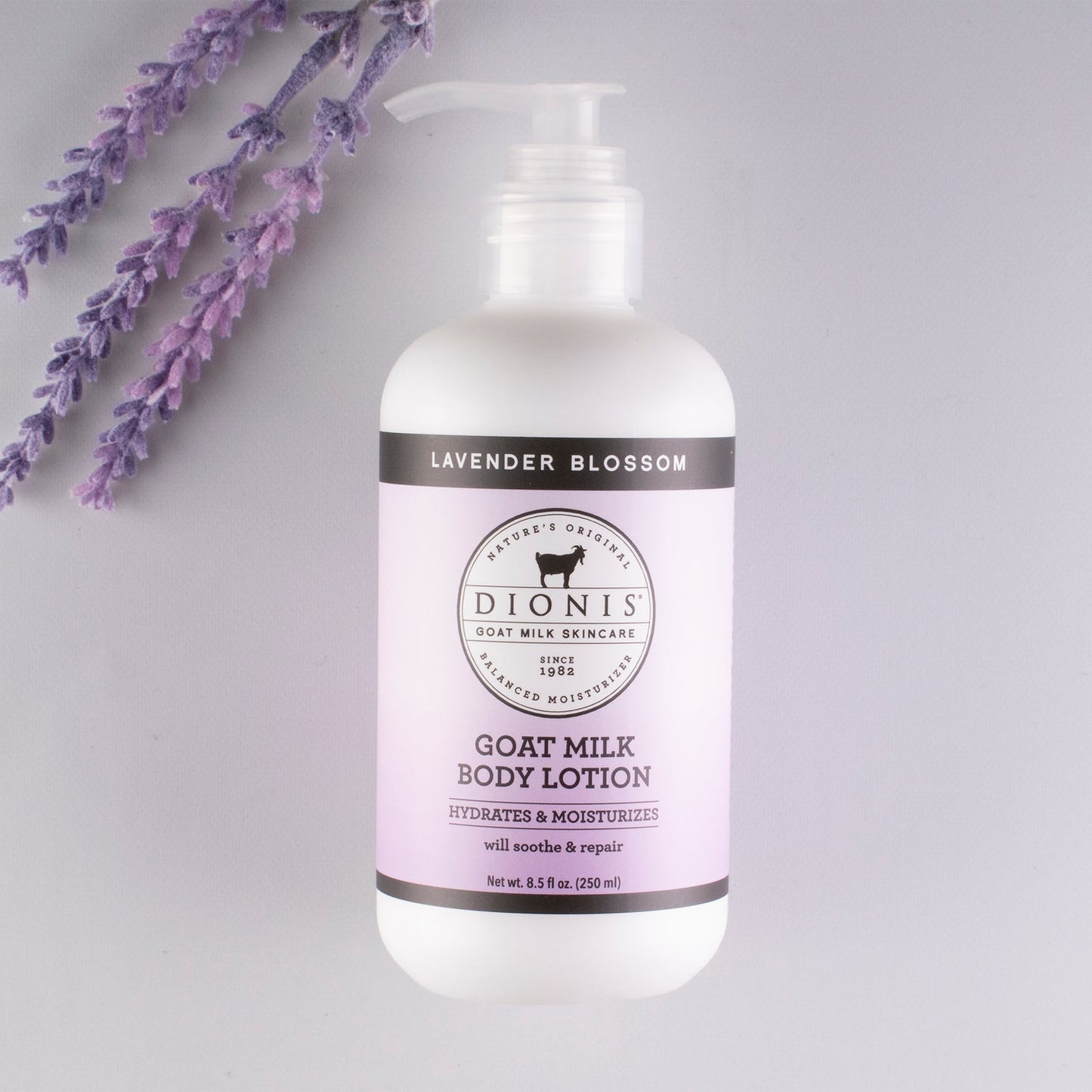 Lavender Blossom Goats Milk Lotion 8.5 oz