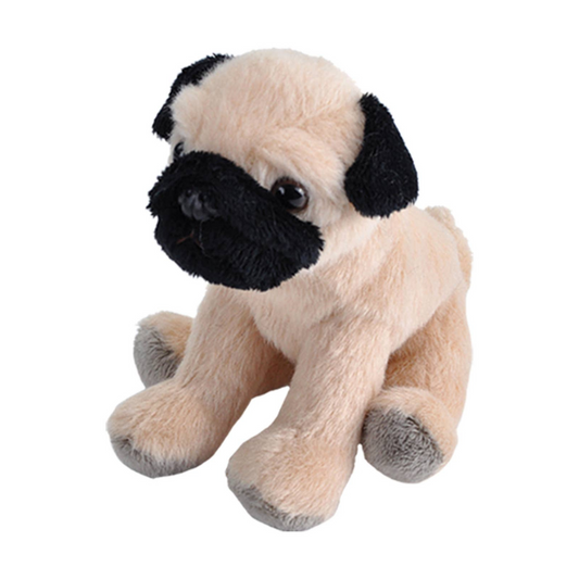 Plush toy pug dog on a white background