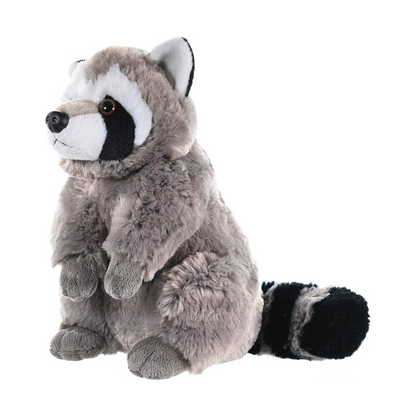 Ranger the Raccoon