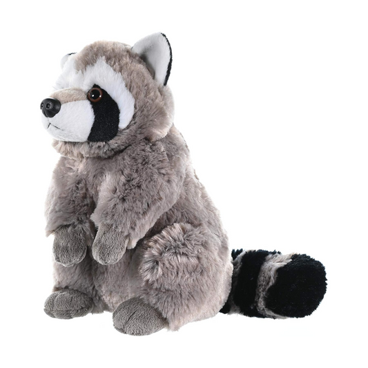 Ranger the Raccoon