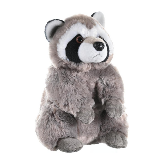 Ranger the Raccoon