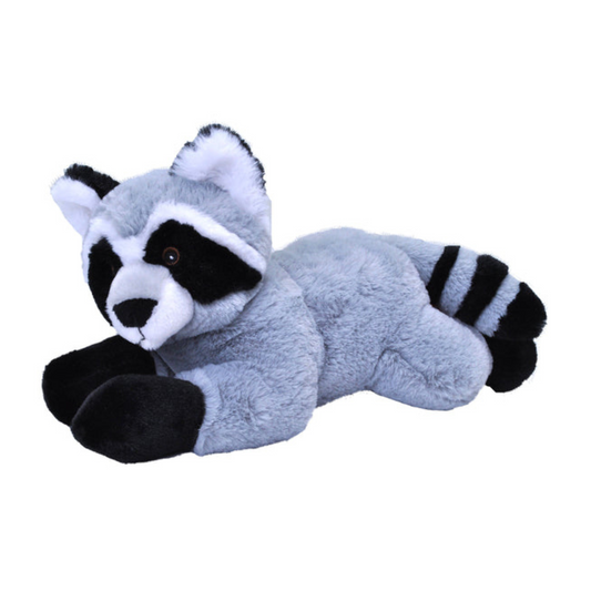 Rory the Mini Raccoon