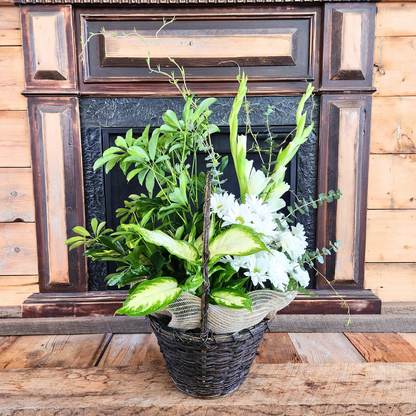 The Comfort Garden