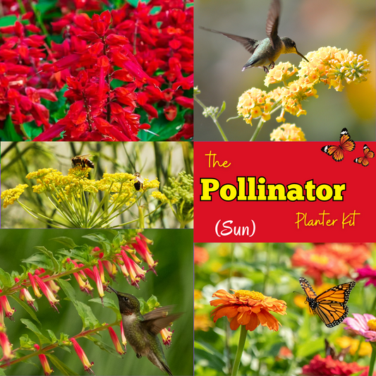 The Pollinator Planter Kit