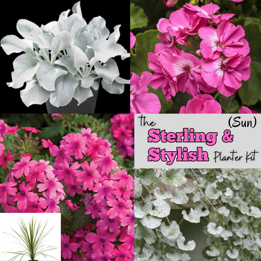The Sterling and Stylish Planter Kit