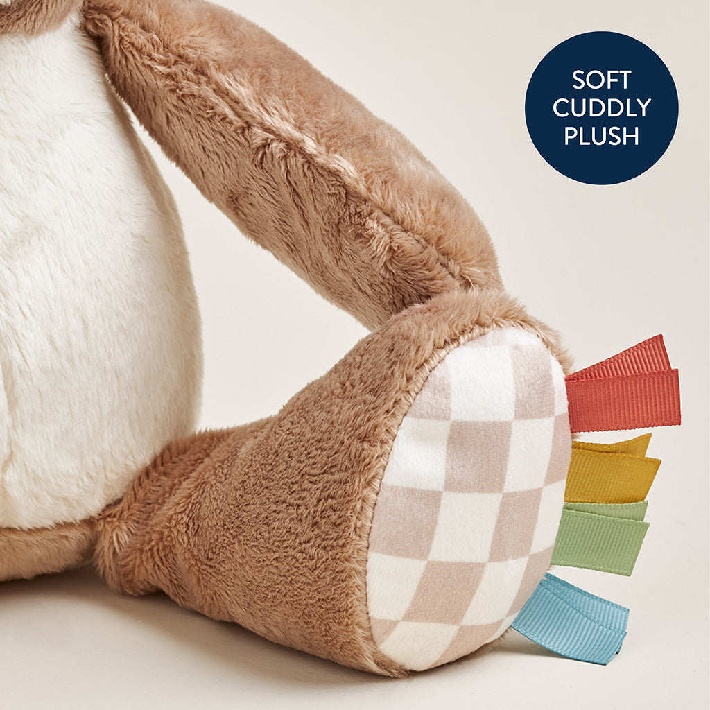 Theo the Bear Sweetie Snuggles Plush