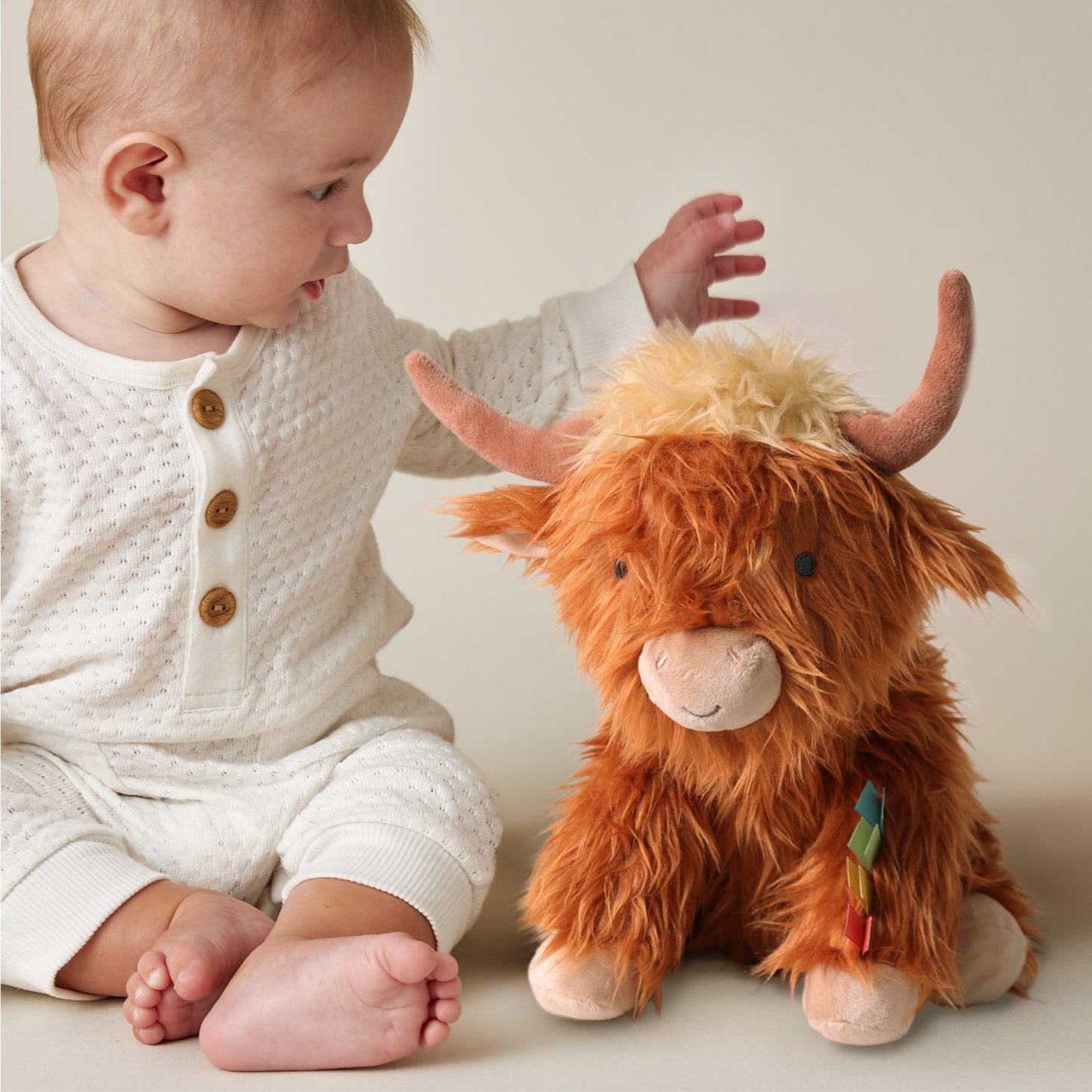 Wyatt the Highland Cow Sweetie Snuggles Plush