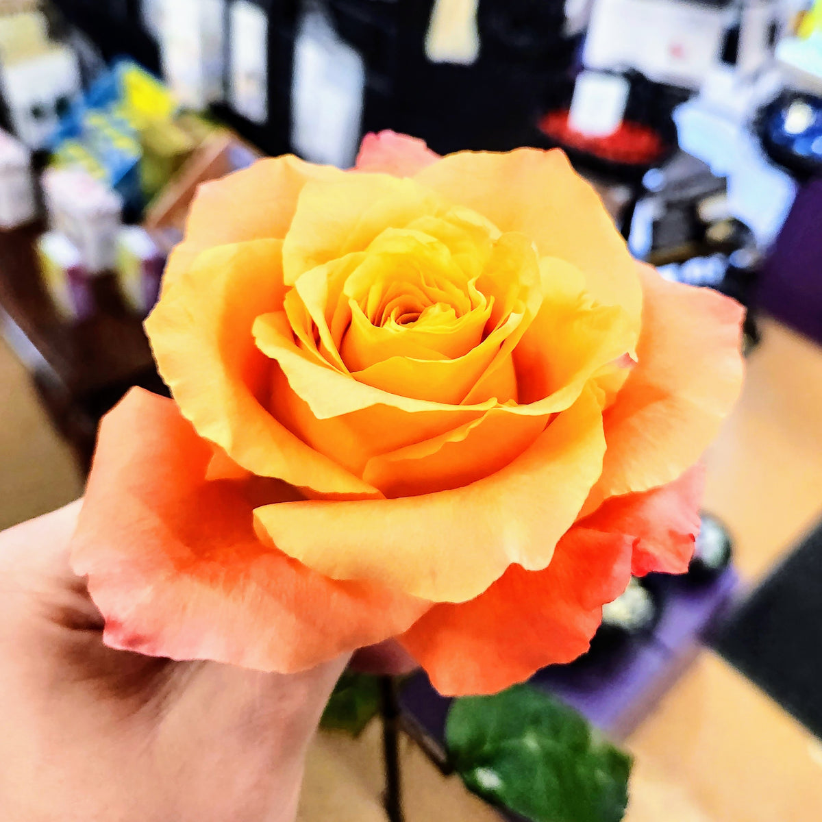 Close-up showing another possible orange and peach rose color for the Enchanted Harvest Bouquet at Treasured Roots Flower Shop in Hoopeston, IL.