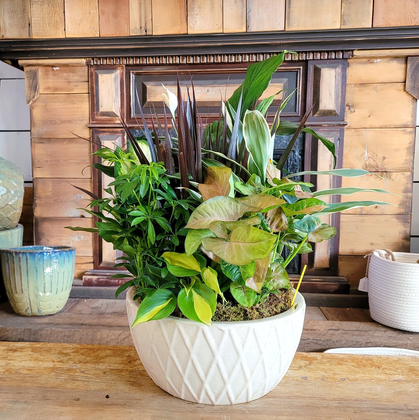 Mixed Planter - Extra Large