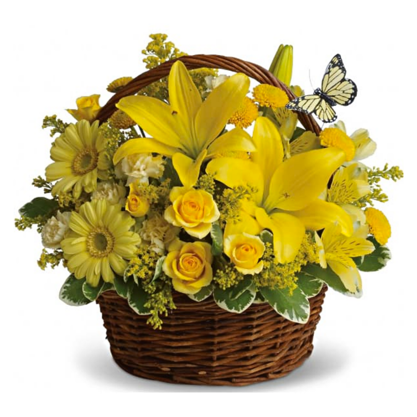 Basket Full of Wishes