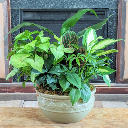 Mixed Planter - Large