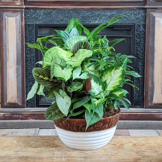 Mixed Planter - Large