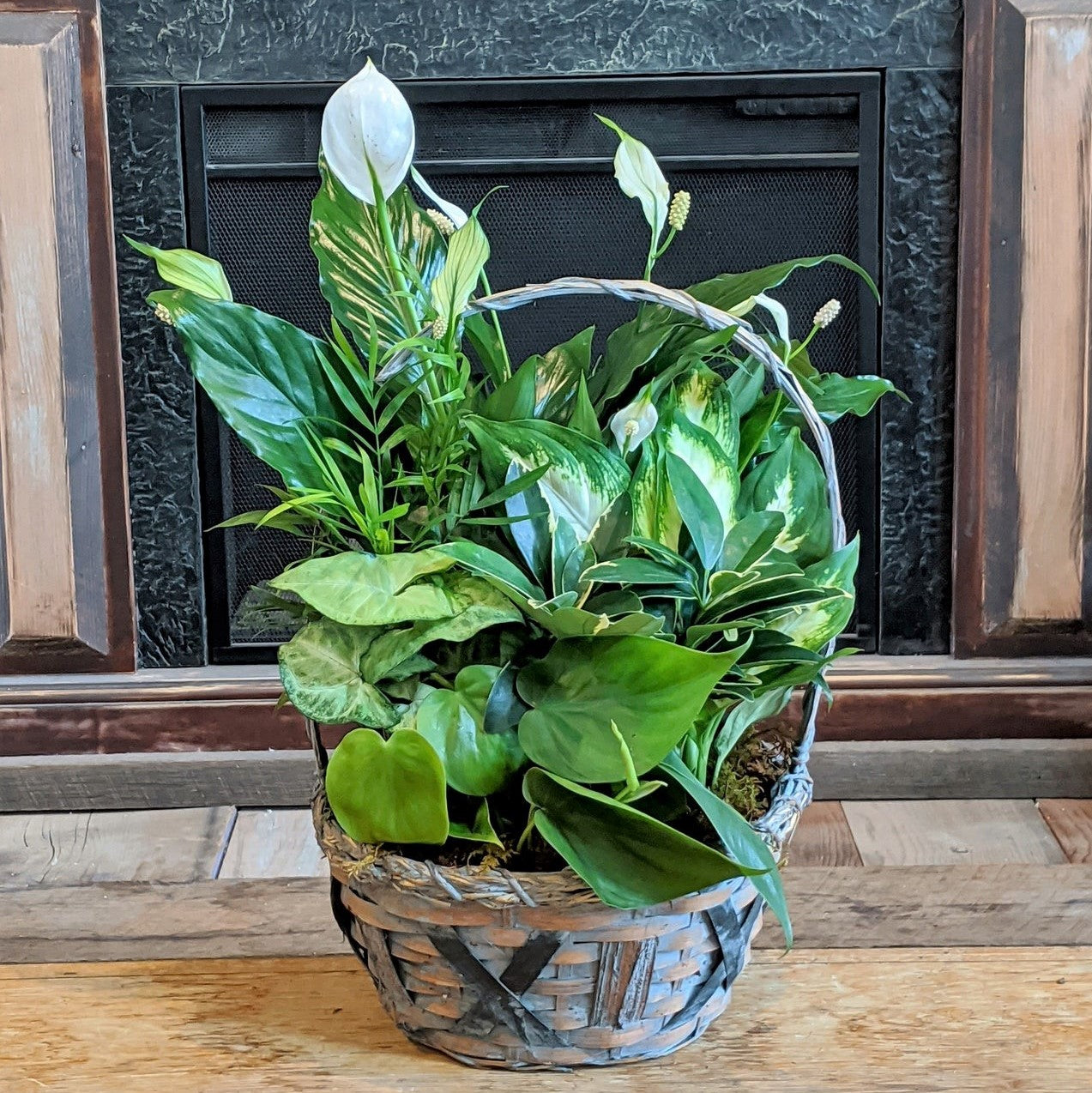 Mixed Planter - Medium