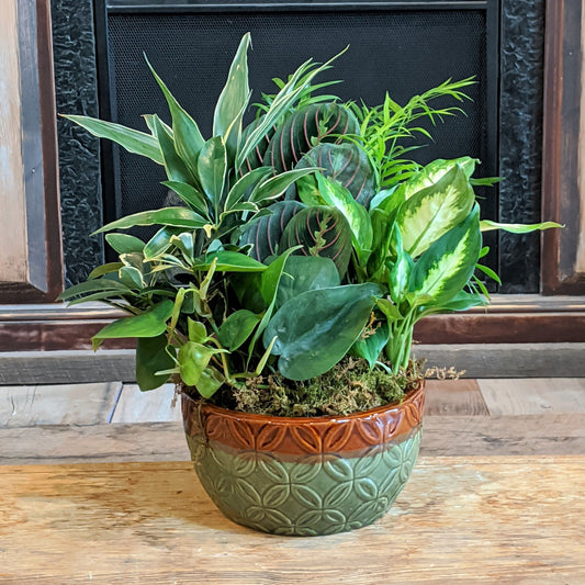 Mixed Planter - Small